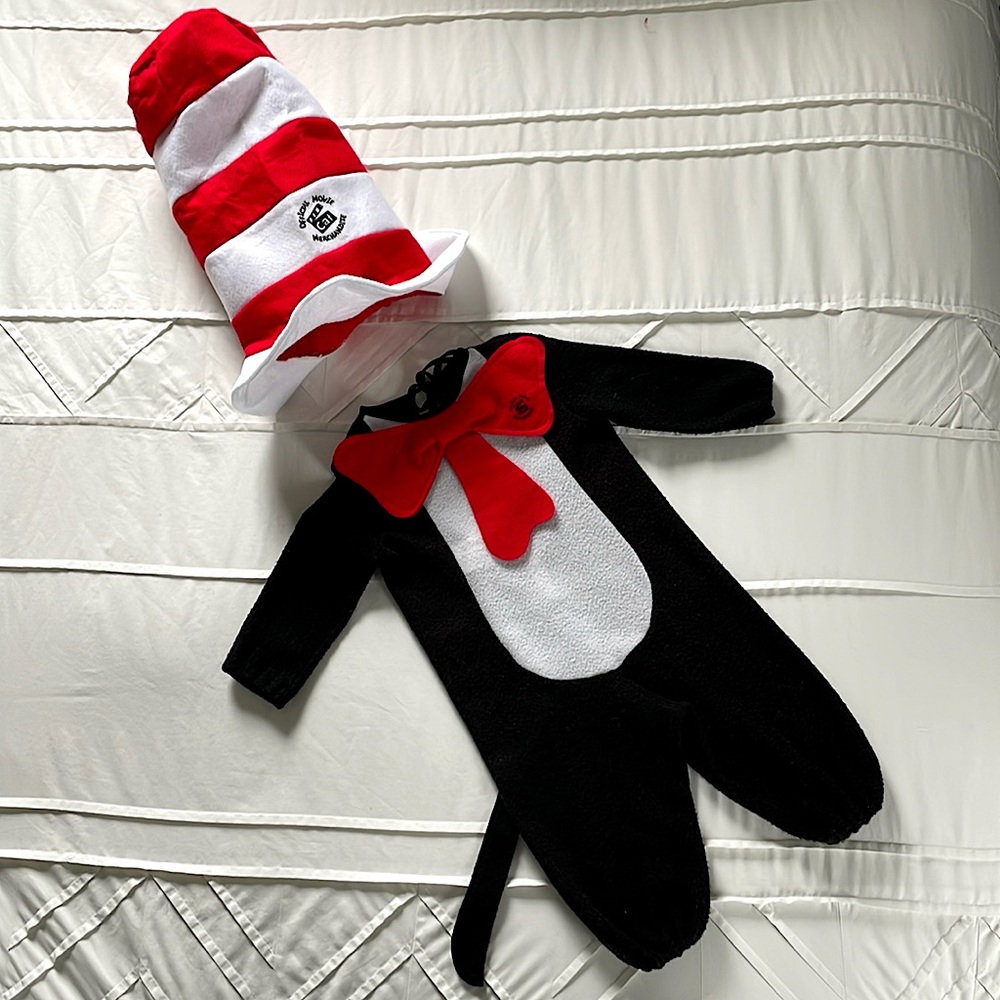Cat in the Hat costume